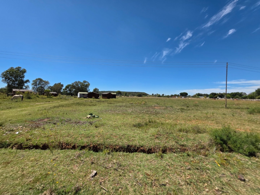 Commercial Property for Sale in Quaggafontein Free State